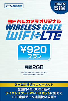 WIRELESS GATE WiFi+LTE